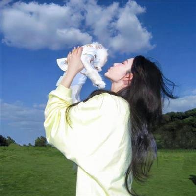 文豪野犬第五季